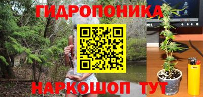 дмт Пушкино