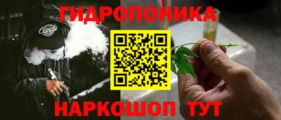 дмт Пушкино