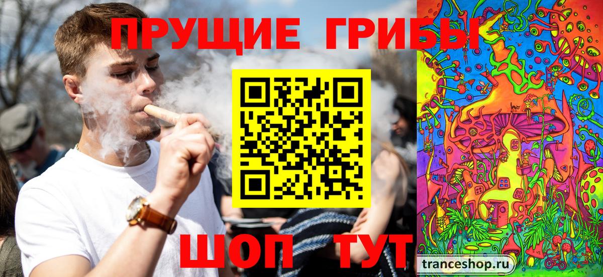 Прохладный  Псилоцибиновые грибы ЛСД  Вход с VPN 